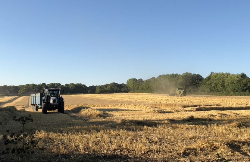Harvest in the Itchen Valley