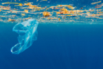 Action on plastics