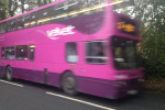 Purple bus moving