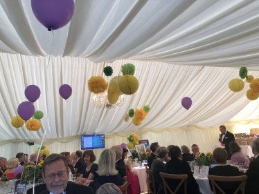 Sunflower Ball 1