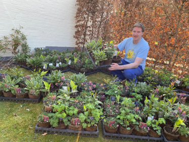 Plants for People